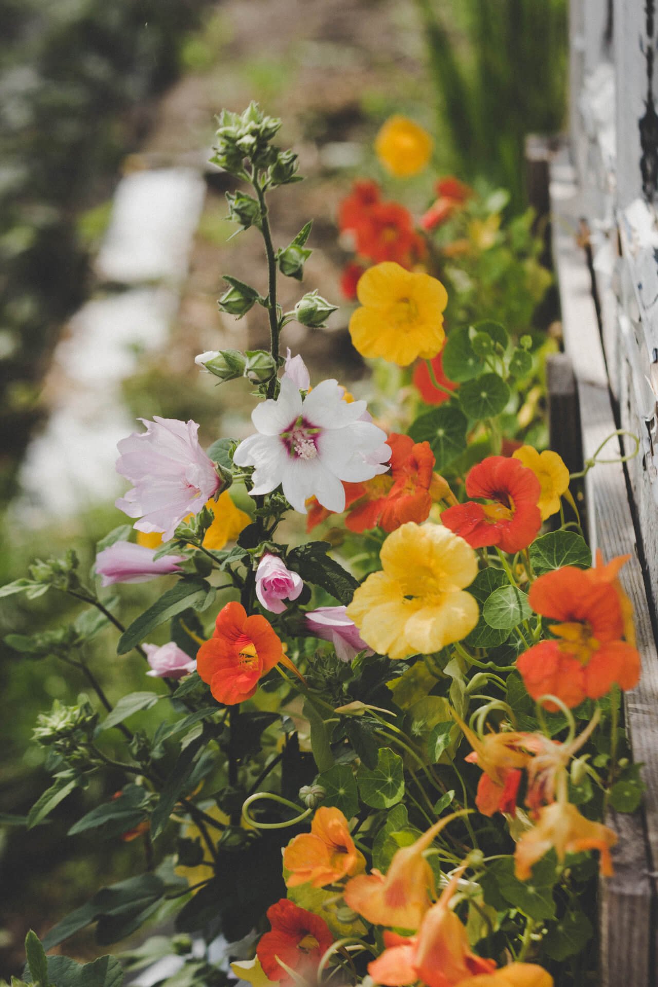 stella-de-smit-YltrGaAeG5o-unsplash stella-de-smit-YltrGaAeG5o-unsplash