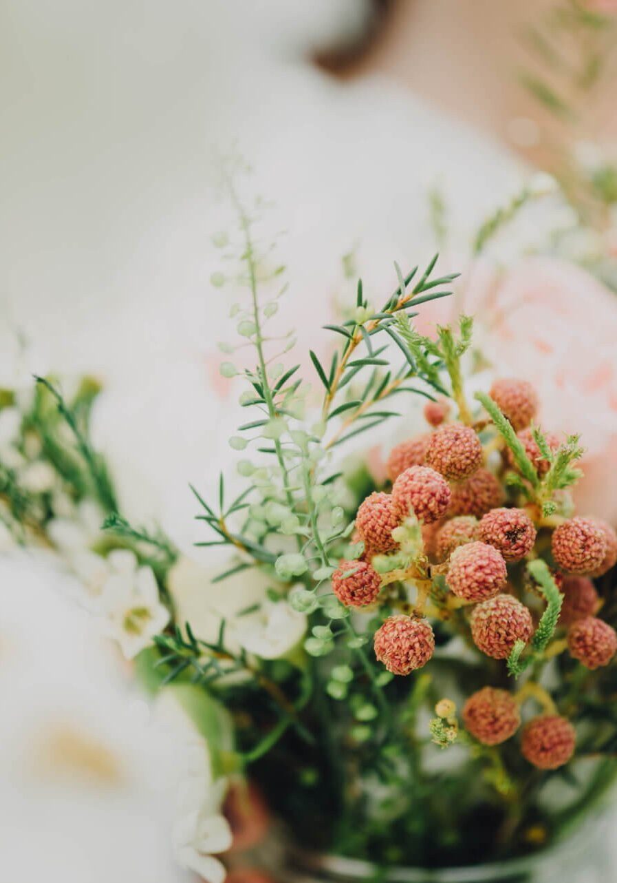 chuttersnap-iQVn40PdwW0-unsplash chuttersnap-iQVn40PdwW0-unsplash